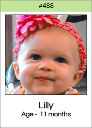 488_lilly