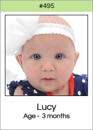 495_lucy