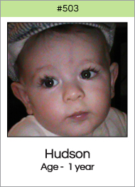 503_hudson