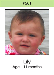 561_lily