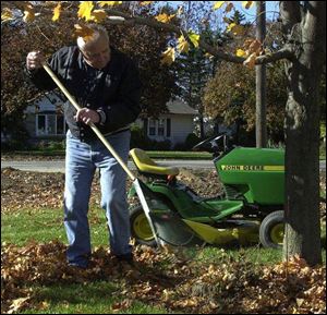 William Strouse of Riga, Mich., both rakes and mows his leaves. 