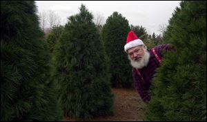 Wilford Salsberry, peering out from his Christmas tree farm near Delta, says older women are most resistant to live trees.