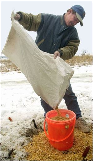 Terry McNalley, the president of Pheasants Forever, pours corn for the birds into a feeder that's near his home in Edgerton.