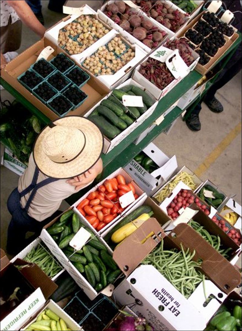 Despite a common heritage, Amish communities display great variety