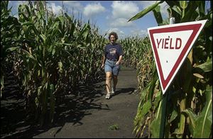 Marcia Crots walks the corn maze over 25 acres of her family's farm and takes 30 to 45 minutes to weave through.