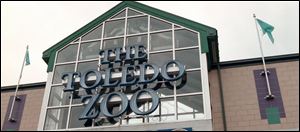 The Toledo Zoo's preschool program, which went on a 1-year hiatus in December of 2016, will not reopen.