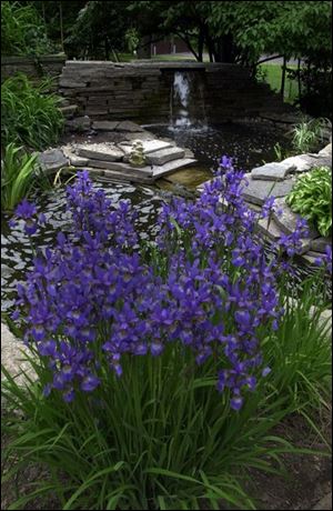 Bright blossoms, a brook, and falls are featured in Sue and Mickey Rosenberg's nature garden