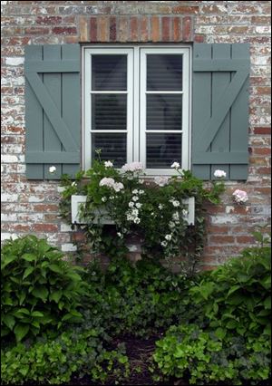 A windowbox overflows with greenery at the historic residence of Sue and Jim White, Jr.