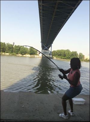 Tami Mickles of Toledo pulls hard on her pole as he fishes for perch in the Maumee River beneath the High Level Bridge.