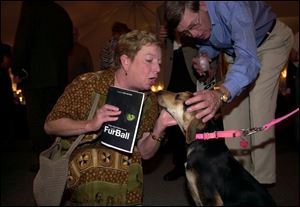 AWWWWWWWWWW: Kathy and Bill Dwyer get a little smooch from one of the Humane Society dogs while the they schmooze at the FurBall in the ‘barking lot.'