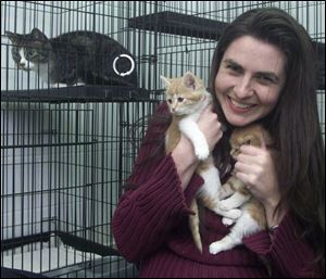 `The big start was just getting ... all the animal welfare organizations onto the same page,' says Aimee St. Arnaud, who works for the Best Friends Animal Sanctuary.