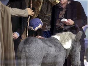 ROV wise 01 - 121202 - L-R, Sandy Guiliani and Linda Benham, who are employees of Finkbeiner, Pettis and Strout, tend to the Three Wise Men in the window display which is part of the Downtown Wonderland along Jackson St. The Blade/Allan Detrich