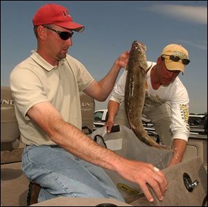 Tom Nordyke of Newport, Mich., and Dave Crawford of Maybee, Mich., unload their day's take of five fish.