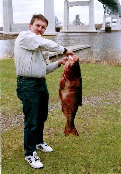 Invasive Asian Carp Raise Fear Near Lakes The Blade