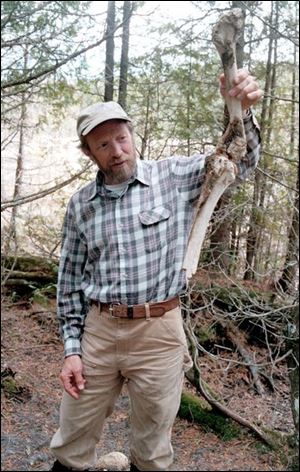 Rolf Peterson, an expert researcher of wolves, holds a bone from a moose that wolves recently killed.