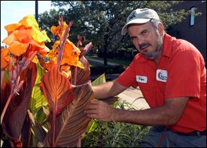 Wayne Strayer with some of the cannas growing at Owens Community College.
