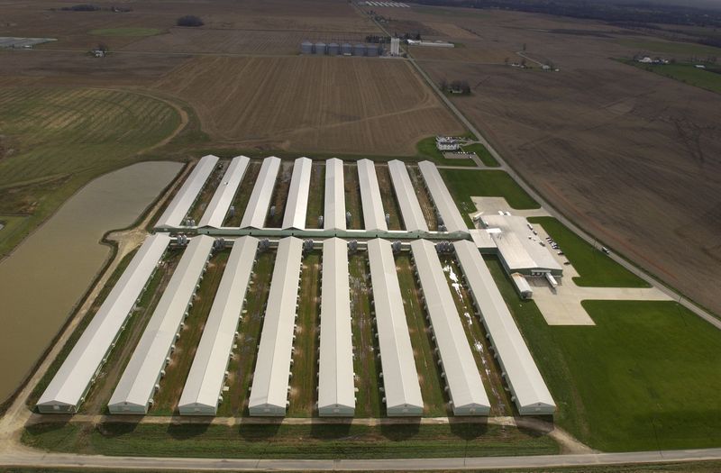 Buckeye Egg operator to take over The Blade