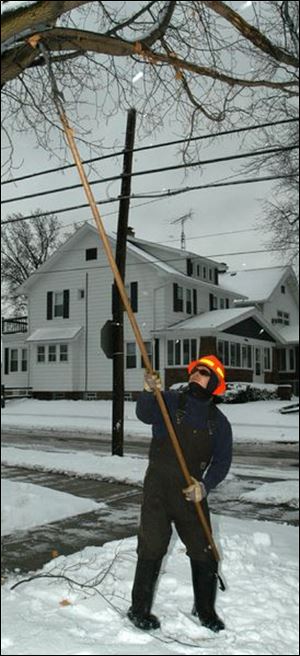 David Villarreal of the city of Toledo forestry division trims a tree in South Toledo after a weekend storm.
