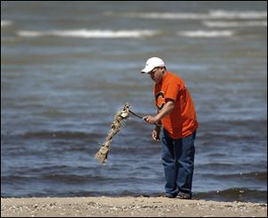 ROV fish 01 - Enrique Ruelos, who lives in Port Clinton, checks out some of the debris and leftovers from winter, on the public beach in Port Clinton. He was taking walk in the warm afternoon sun. Allan Detrich/The Blade