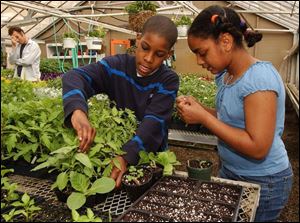 Keon Pearson, 11, and Dominique Kassa, 11, work with their plants at the Toledo Botanical Garden.