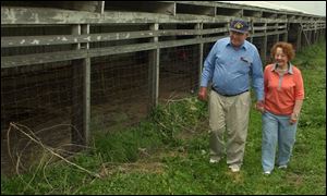 Dick and Betty Britten, of Perrysburg, walk along an empty pole barn where they had kept 5,000 turkeys.