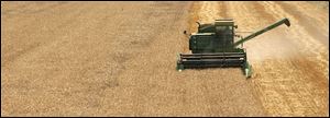 Fred Speck cuts a wheat field in Middleton Township in Wood County. Northwest Ohio's crop kept grain elevators open through the holiday weekend.