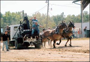The horsepull competition at last year's Paulding County Flat Rock Creek Fall Festival Gas and Steam Show.