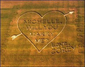 Corey Cook's marriage proposal to Michelle See is visible above a cornfield west of Napoleon.