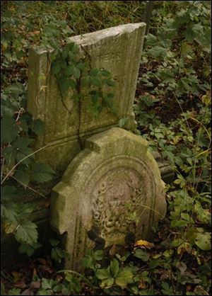 In the heavily wooded Potter Cemetery, not a single headstone remains intact.
