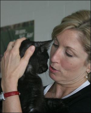 Susan Maxwell of the Toledo Area Humane Society gives some attention to Otis, a black cat that is up for adoption.