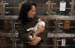 Claudia Lamanna cuddles a cat at Sylvania Veterinary Hospital. She helps owners grieve over the loss of a pet.
