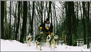 Jamie Collier practices with a four-dog team. He will participate in races this weekend in Michigan's Upper Peninsula.