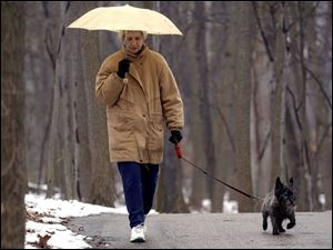 ROV Neither Rain... -- Nancy Turksi and her Cairn terrier Captain don't let a little rain keep them from their daily walk at Wildwood Metropark Preserve. The two were walking there Monday, 02/28/05. The Blade/Andy Morrison