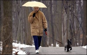 ROV Neither Rain... -- Nancy Turksi and her Cairn terrier Captain don't let a little rain keep them from their daily walk at Wildwood Metropark Preserve. The two were walking there Monday, 02/28/05. The Blade/Andy Morrison