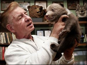 CTY bear08p Kenny Hetrick, owner of Tiger Ridge Exotics in Stony Ridge, O., holds  his 8 -week- old Russian grizzly bear on Tuesday, 3/8/05.  The bear, a male,  has not been named. The Blade/Dave Zapotosky
