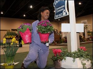 ROV homeshow11p   Carolyn Powell, of Toledo, decorates the display of Fannin Remodeling for the Toledo Home Remodelers Association's 2005 Home & Garden Show in Toledo, Ohio on March 12, 2005. Powell is an employee of the firm. The show runs through Sunday. Jetta Fraser/Blade
