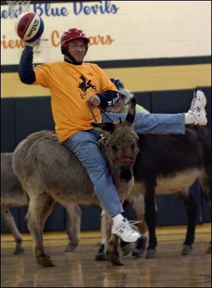 CTY donkey14p     Bob Young goes for a wobbly ride on a donkey during 'donkey basketball' at Perrysburg Junior high, Thursday evening 4/14/05.  The Blade/Madalyn Ruggiero