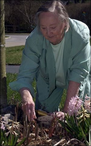 Retired University of Toledo biologist Louise Bankey tends to her garden in Sylvania. She helped co-organize the fi rst Earth Day at UT in 1970.