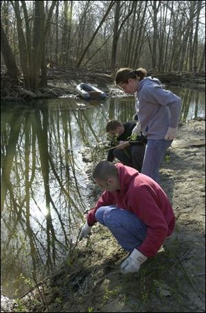 nbr earth16p 5   front to back Chris Jones, Jessica McGeorge, and Bryan Kromenacker plant trees by the river for  during earth day cleanup at wildwood preserve.  saturday 04/16/05  luke black/the blade