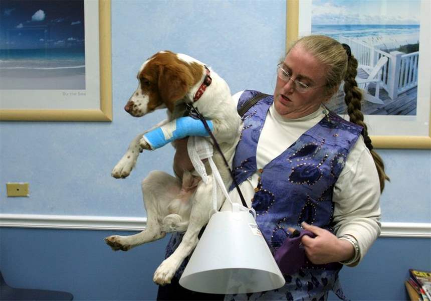 The afterhours vet The Blade