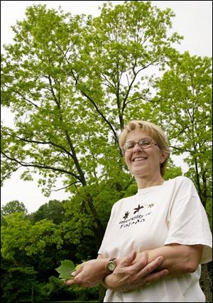 Sandra Stutzenstein is arboretum program coordinator.