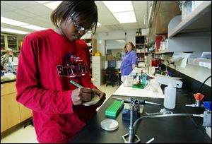 Alisha Jones labels petri dishes inside a lab at the University of Toledo, where she is working this summer.