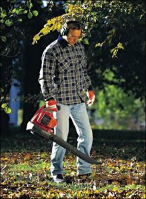 Noise and safety are two important considerations when using a leaf blower, so be courteous of your neighbors. 