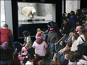 Slug: ROV zoo07p                     Date:   1/7/2006 The Blade/Amy E. Voigt       Location: Toledo Zoo, Toledo, OH   Caption: A group of people swarm into the Arctic Encounter area of teh Toledo Zoo to watch "Marty" the polar bear at feeding time as a part of Frozentoesen at the Toledo Zoo on its opening day.    Summary: Czechoslovakian Black Light Theatre combines elements of puppetry, pantomime, dance, special lighting effects, and music. These whimsical performances are suitable for the whole family. Black Light Theatre will be featured every Saturday and Sunday during Frozentoesen (and even through the month of March!) in the Indoor Theatre.  Times: 11:30 a.m., 1:30 p.m., and 2:30 p.m.    2) Ice-carving Demonstrations (FREE with Â½-price admission)  Every Saturday during Frozentoesen, Chad Hartson of Ice Creations will transform eight 300-pound blocks of ice into one shimmering, sensational sculpture!   Times: 11:00 a.m. to 2:00 p.m. in the Main Plaza   3) Cabin Fever Feeds (FREE with Â½-price admission)  Experience animal-feeding demonstrations at various exhibits throughout the Zoo. If you enjoyed the Big Feed in September, you wonât want to miss this exciting opportunity!