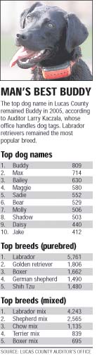 Lucas County Dog Names Have Lots Of Character The Blade