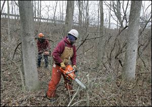 Dwain Sullivan, foreground, and Jamie Silvus cut trees and brush near West High Street and U.S. 24 west of Defiance as part of preparatory work for the 'Fort to Port' U.S. 24 highway expansion.