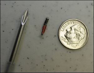 The microchip, center, is about the size of a dime. At left is the injector.