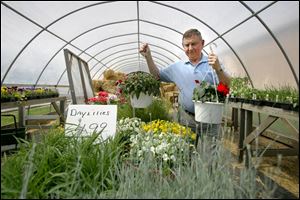 Jack Zeiler arranges the floral displays at the family-owned farm market where he has worked for 60 years. 