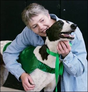 Diane Hartman of Milan, Ohio, pets Bertie, a male retired racing greyhound from Ireland.