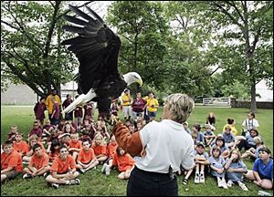 Mona Rutger talks about the bald eagle she holds. The eagle is blind and kept at the Back to the Wild refuge in Castalia, Ohio, where Ms. Rutger rehabilitates injured wildlife. She is talking to young campers. Marissa Panos, 8, learns firsthand how diluting a pollutant does not eliminate it in an exercise called 'Dilution Is Not the Solution.'